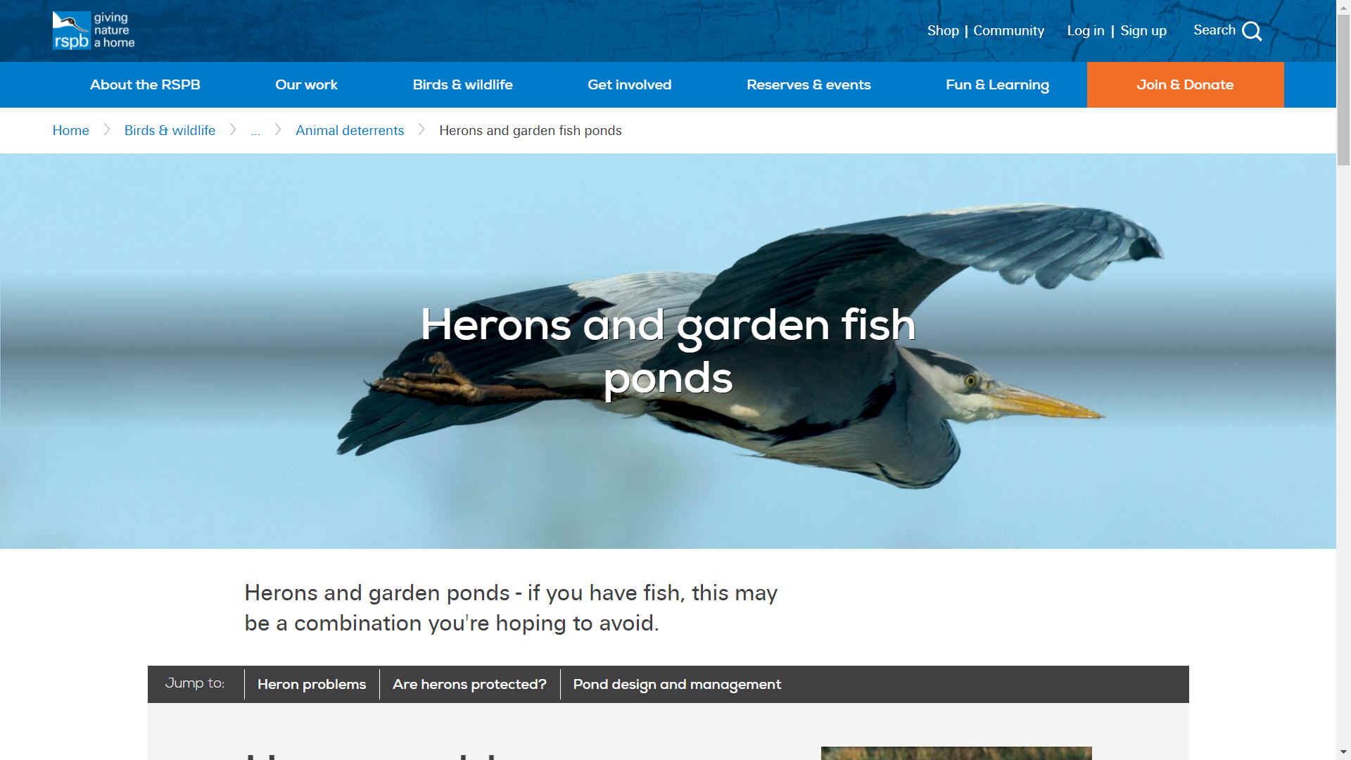 Royal Society for the Protection of Birds - RSPB